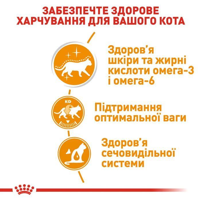 Вологий корм для котів Royal Canin Hair & Skin Care Jelly pouch 3+1 шт х 85 г - masterzoo.ua