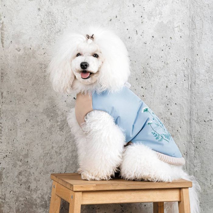 Жилетка для собак Pet Fashion Kris XS - masterzoo.ua