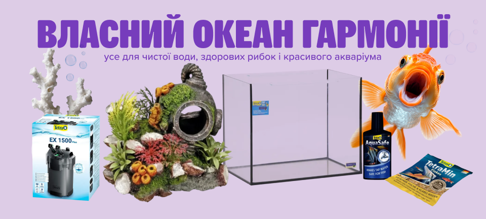 1. Десктоп Аквариумистика
