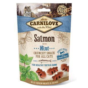 Лакомство для кошек Carnilove Salmon with Mint 50 г (для зубов) - masterzoo.ua