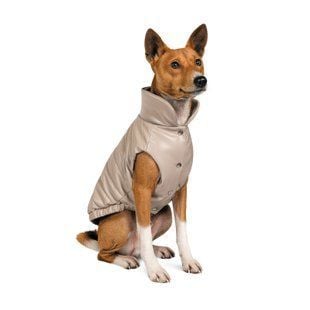 Жилет для собак Pet Fashion &laquo;Bright&raquo; M (бежевий) - masterzoo.ua