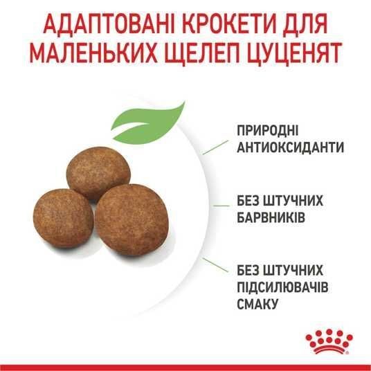 ≡ Cухий корм для цуценят Royal Canin Maxi Puppy 1 кг • Royal