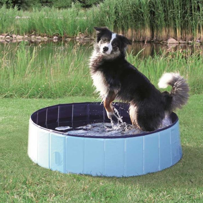 Бассейн для собак Trixie 80 х 20 см - masterzoo.ua
