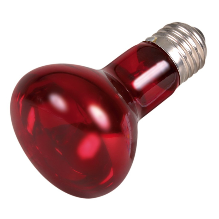 Інфрачервона лампа розжарювання Trixie 35 W, E27 (для обігріву) - masterzoo.ua