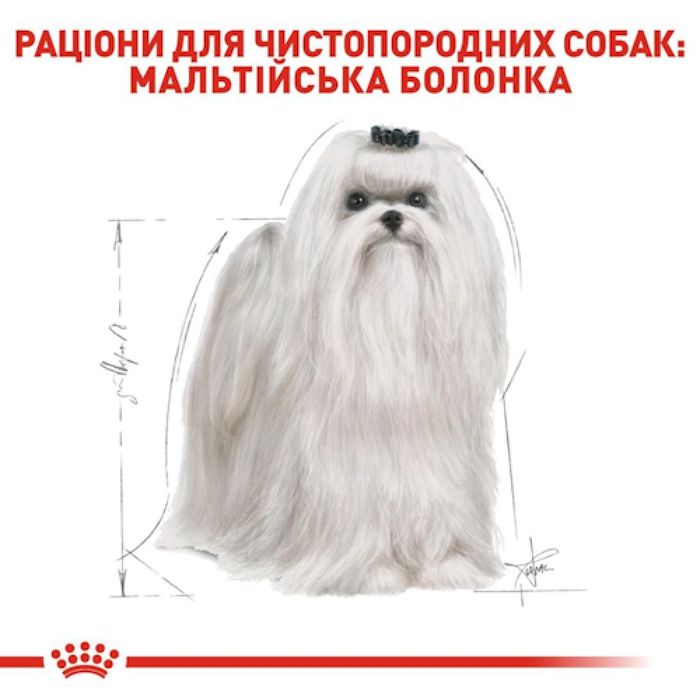Сухий корм для дорослих собак породи Royal Canin Maltese Adult 500 г - домашня птиця - masterzoo.ua