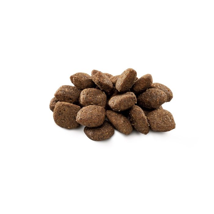 Сухий корм для собак Brit Premium Dog Sensitive 15 кг - ягня та рис - masterzoo.ua