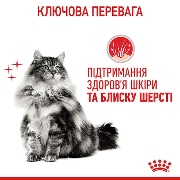 Вологий корм для котів Royal Canin Hair & Skin Care Gravy pouch 85 г, 3+1 шт - домашня птиця - masterzoo.ua
