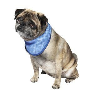 Бандана охлаждающая для собак Nobby Fresh S 18-30 см - синий - masterzoo.ua