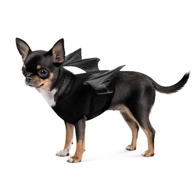 Крила для собак Pet Fashion Web XS-XS-2 - masterzoo.ua