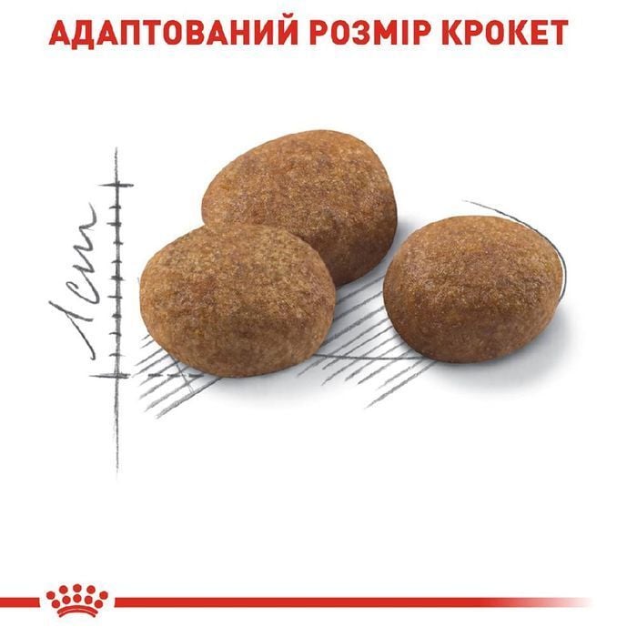 Сухой корм для кошек Royal Canin Regular Sterilised 7+ 10 кг - masterzoo.ua