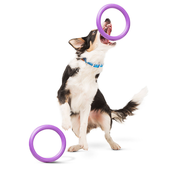 Іграшка для собак Collar Тренувальний снаряд «Puller Micro» (Пуллер) d=12,5 см, 2 шт. (спінений полімер) - masterzoo.ua