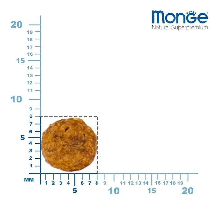 Корм сухий для котів Monge Urinary 400 г - masterzoo.ua