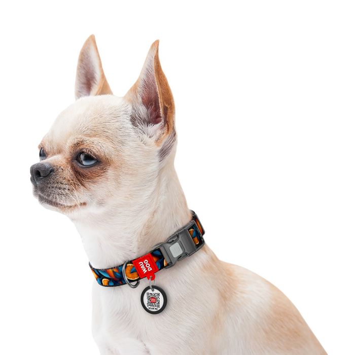 Нашийник для собак Collar WAUDOG Nylon L - masterzoo.ua