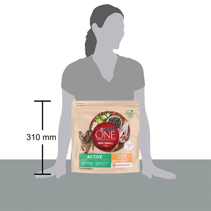 Сухий корм для активних собак малих порід Purina One Mini Active 1,5 кг (курка та рис) - masterzoo.ua