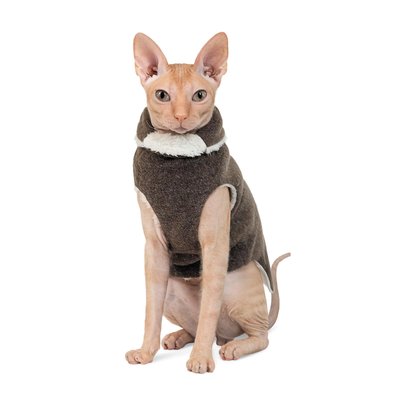 Свитер Pet Fashion «Cat» L (серый) - masterzoo.ua