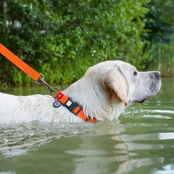 Ошейник для собак COLLAR WOUDOG Водостойкий M - оранжевый - masterzoo.ua