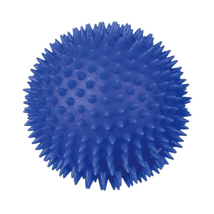 Игрушка для собак Trixie Мяч игольчатый с пищалкой d=10 см (винил, цвета в ассортименте) - 3412 - masterzoo.ua