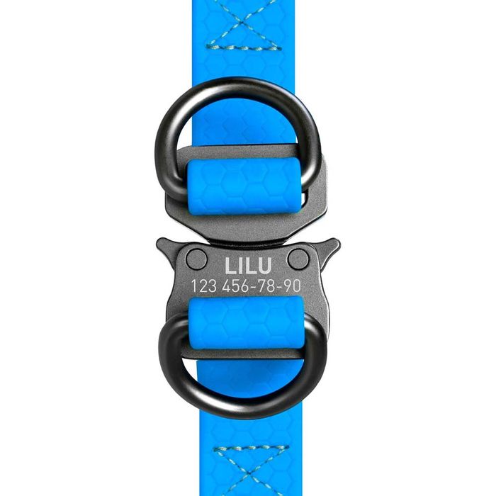 Шлей Collar WAUDOG Waterproof водостійкий з QR-паспортом 50-80 см / 20 мм (блакитний) - masterzoo.ua