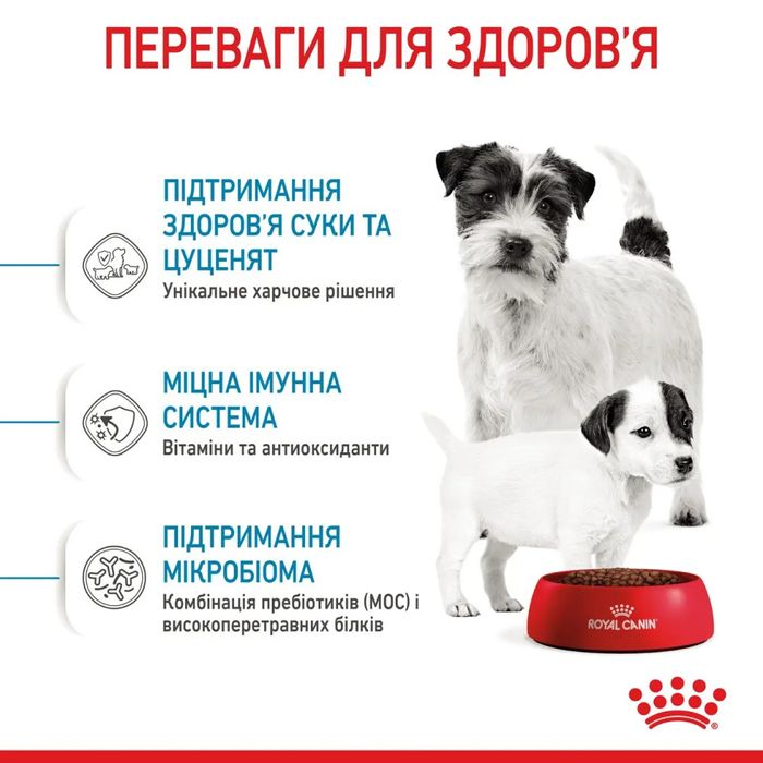 Сухий корм для цуценят мініатюрних порід Royal Canin Mini Starter 8 кг - домашня птиця - masterzoo.ua