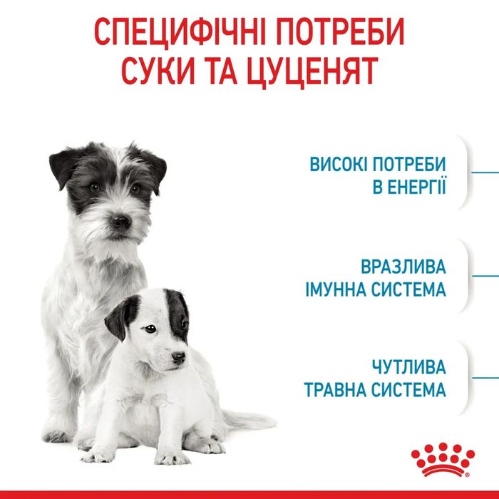 Сухой корм для щенков миниатюрных пород Royal Canin Mini Starter 8 кг - домашняя птица - masterzoo.ua