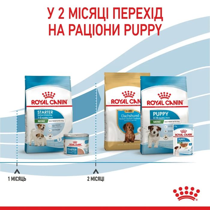 Сухий корм для цуценят мініатюрних порід Royal Canin Mini Starter 8 кг - домашня птиця - masterzoo.ua