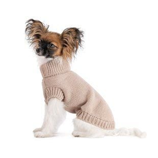Pet Fashion Sam светр для собак XS - masterzoo.ua