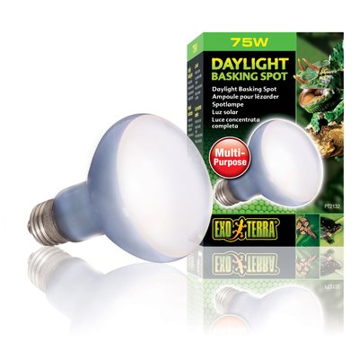 Лампа розжарювання з неодимовою колбою Exo Terra «Daylight Basking Spot» 75 W, E27 (для обігріву) - masterzoo.ua
