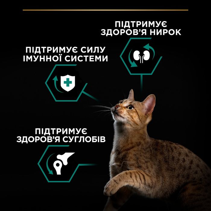 Сухий корм для котів Pro Plan Adult 1+ Renal Plus 1,5 кг - курка - masterzoo.ua