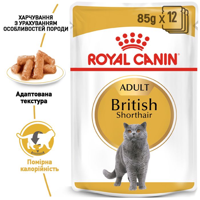Влажный корм для взрослых кошек породы британская короткошерстная Royal Canin British Shorthair Adult pouch 85 г (домашняя птица) - masterzoo.ua