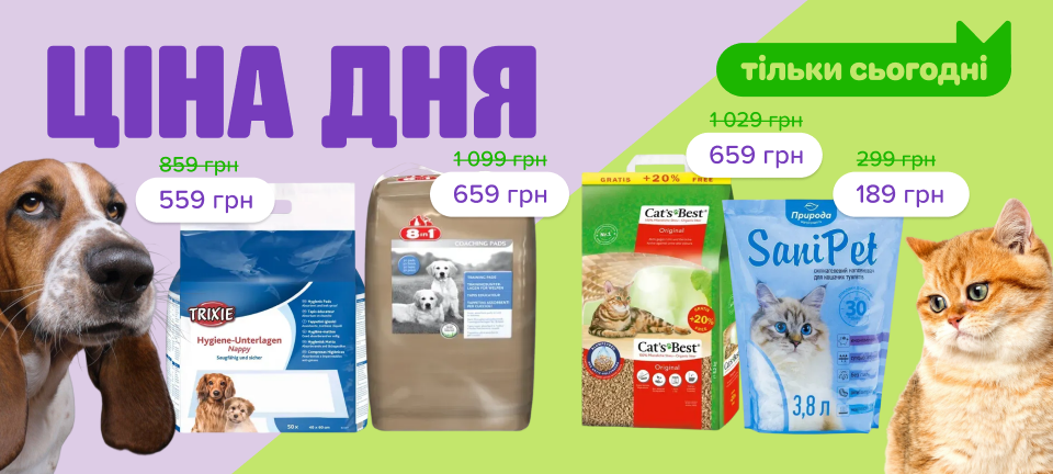 1. Десктоп Товар дня