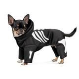 Костюм для собак Pet Fashion Skeleton XS - masterzoo.ua