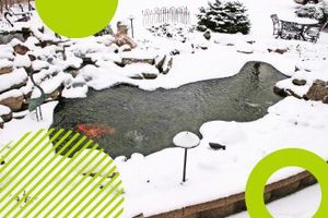 Как ухаживать за прудом в зимний период?