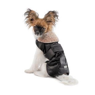 Pet Fashion Ted попона для собак ХS - masterzoo.ua