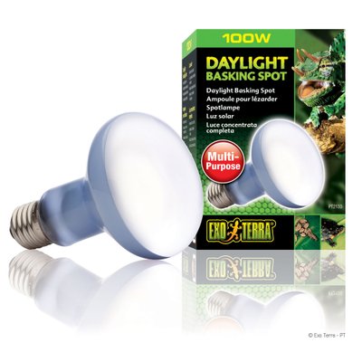 Лампа накаливания с неодимовой колбой Exo Terra «Daylight Basking Spot» 100 W, E27 (для обогрева) - masterzoo.ua