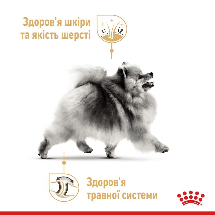 Сухий корм для собак Royal Canin Pomeranian Adult 500 г - домашня птиця - masterzoo.ua