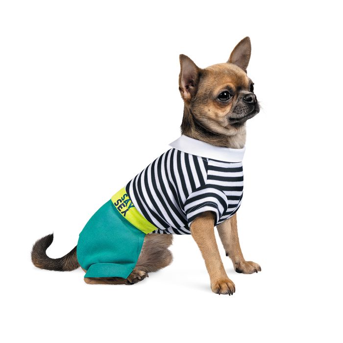Костюм для собак Pet Fashion «Strip» S (многоцветный) - masterzoo.ua