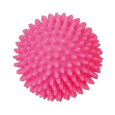 Игрушка для собак Trixie Мяч игольчатый с пищалкой d=7 см (винил, цвета в ассортименте) - 3414 - masterzoo.ua