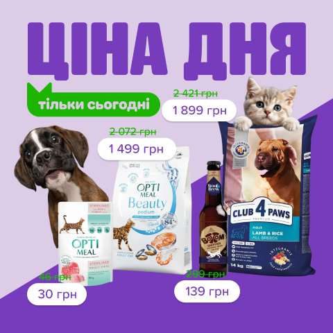 3. Раздел Акции Товар дня