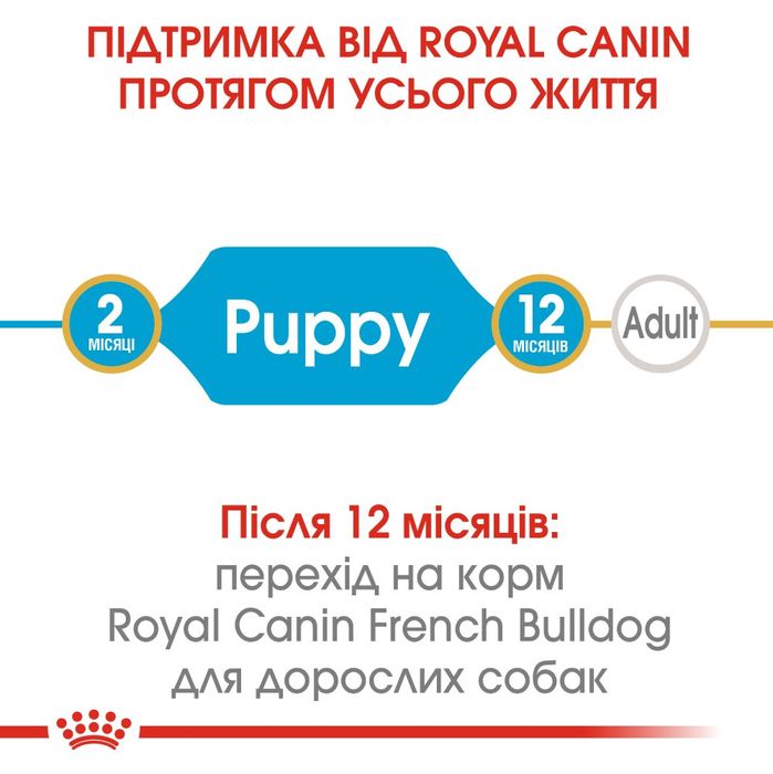 Сухий корм для цуценят та молодих собак породи французький бульдог Royal Canin French Bulldog Puppy 1 кг (домашня птиця) - masterzoo.ua