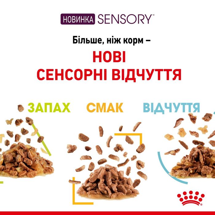 Вологий корм для котів Royal Canin Sensory Smell pouch 85 г, 3+1 шт - домашня птиця - masterzoo.ua
