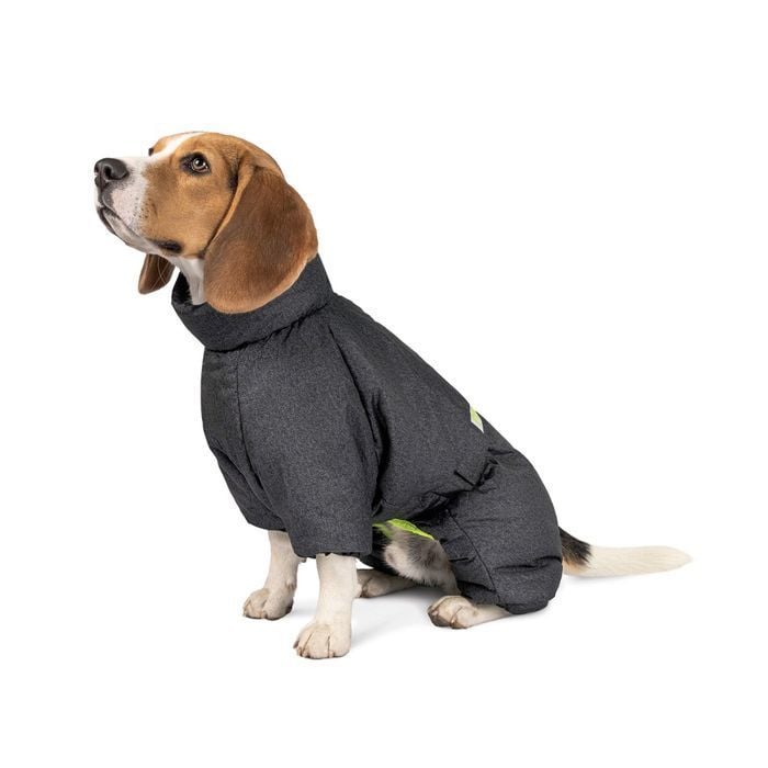 Pet Fashion Cold комбінезон для собак S такса - masterzoo.ua