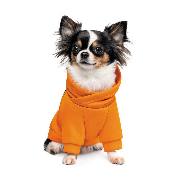 Товстівка для собак Pet Fashion Pumpkin S - masterzoo.ua