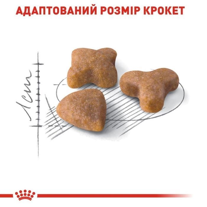 Cухий корм для котів Royal Canin Regular Sensible 33 10 кг - masterzoo.ua