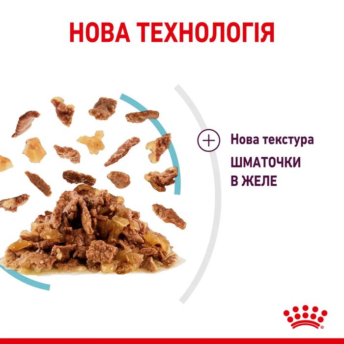 Влажный корм для кошек Royal Canin Sensory Gravy pouch 9+3 шт х 85 г - masterzoo.ua