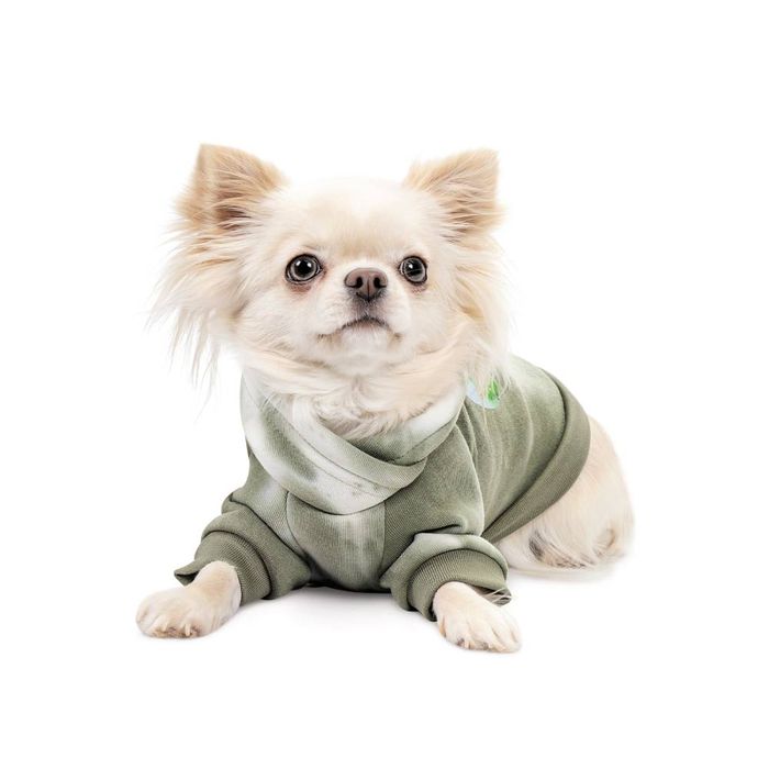 Худі для собак Pet Fashion Gray XXS - masterzoo.ua