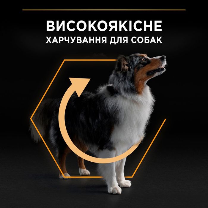 Сухой корм для взрослых собак средних пород Pro Plan Adult Medium 14 кг (курица) - masterzoo.ua