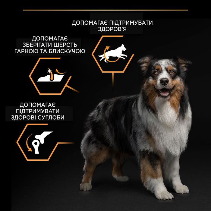 Сухий корм для дорослих собак середніх порід Pro Plan Adult Medium 14 кг (курка) - masterzoo.ua