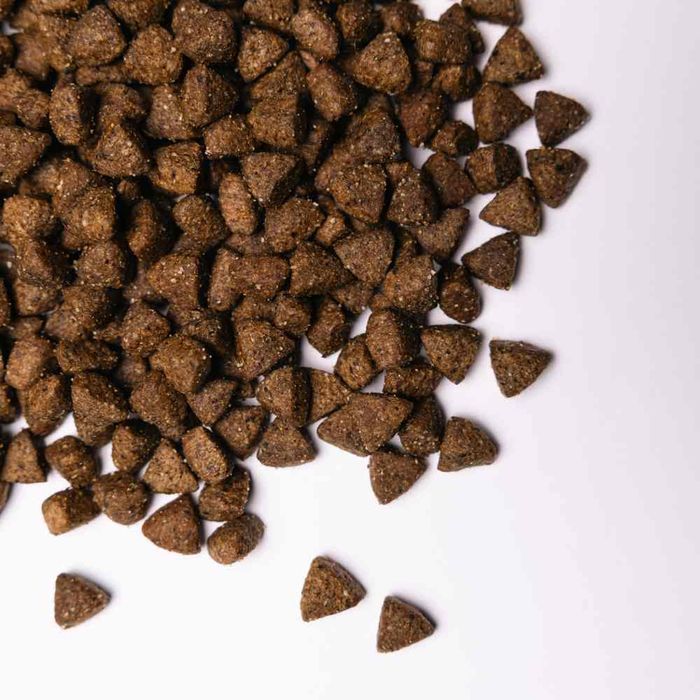 Cухий корм для собак Savory All Breed Sterilised 12 кг - індичка - masterzoo.ua