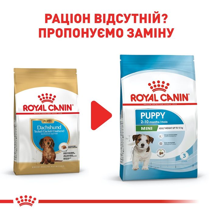 Сухой корм для щенков породы такса Royal Canin Dachshund Puppy 1,5 кг - домашняя птица - masterzoo.ua