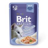 Влажный корм для кошек Brit Premium Cat Salmon Fillets Jelly pouch 85 г (филе лосося в желе)